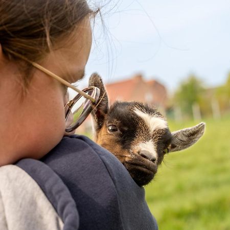 Logements Insolites A La Ferme - Yourte, Kota Ou Pod Farbus エクステリア 写真