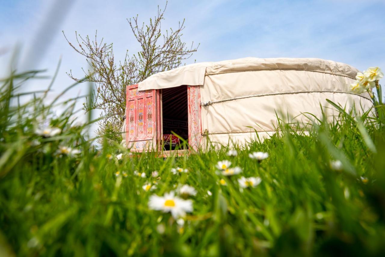 Logements Insolites A La Ferme - Yourte, Kota Ou Pod Farbus エクステリア 写真