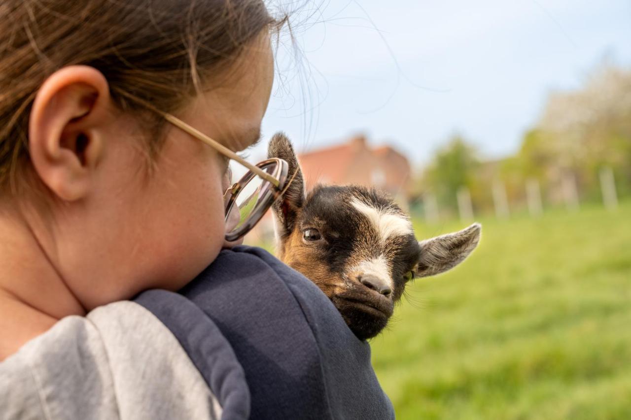 Logements Insolites A La Ferme - Yourte, Kota Ou Pod Farbus エクステリア 写真